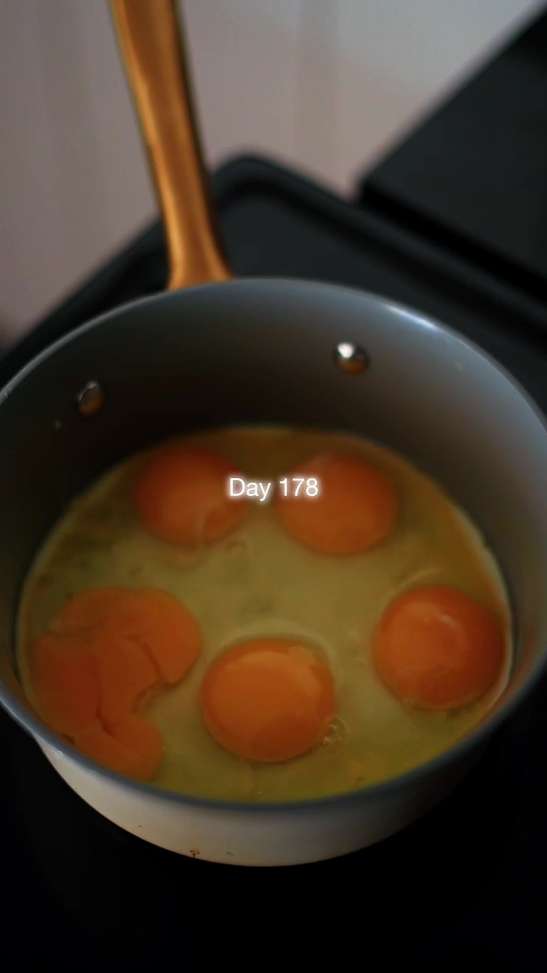 @𝙅𝙖𝙮 𝙁𝙤𝙧𝙩𝙞𝙣