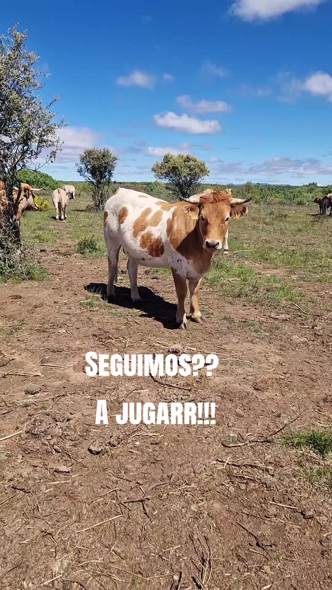@Ari La Pastora