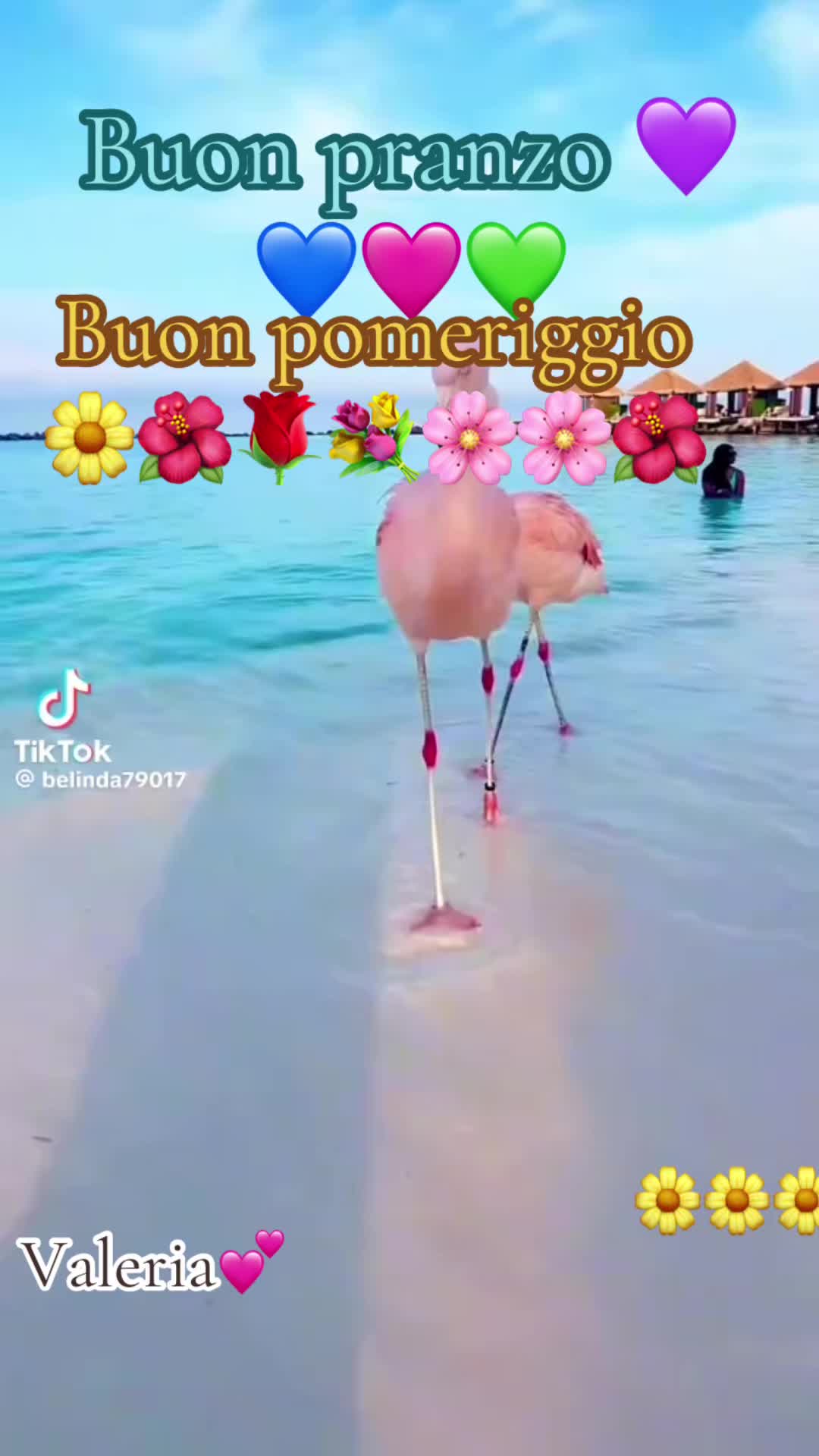 @valeriaevangelis840