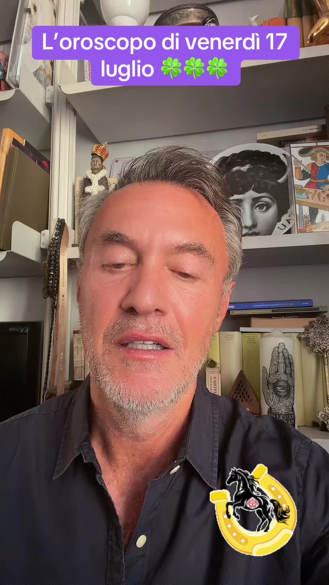 @stefanovighi
