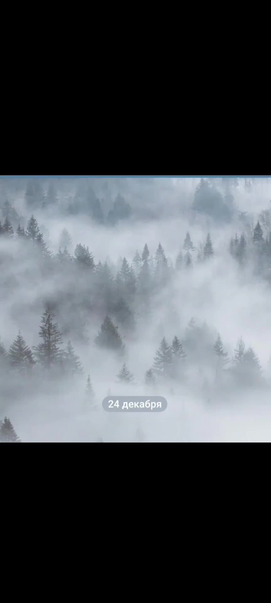 @SonicVibe/Music