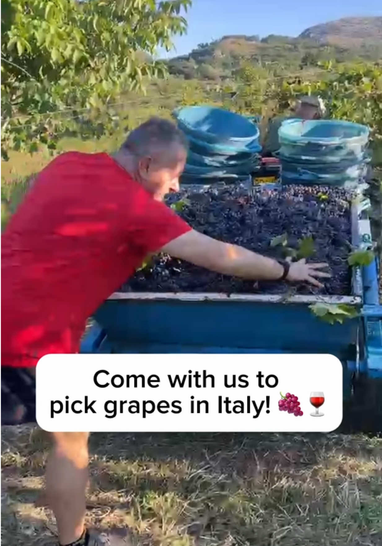 @Maddie and Nonna