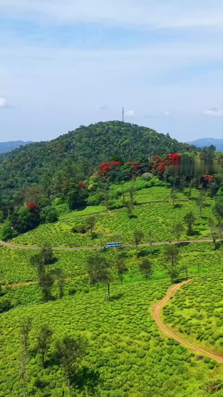 @🅚︎🅛︎ 34 ബസ്പ്രേമി