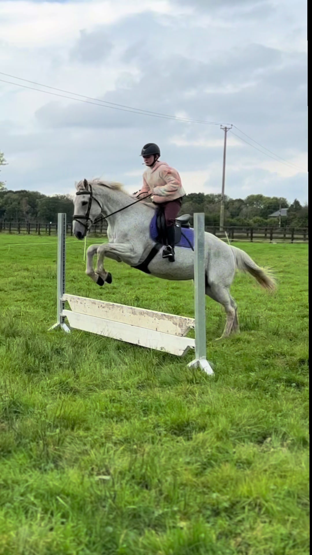 @ell 🌾🐴