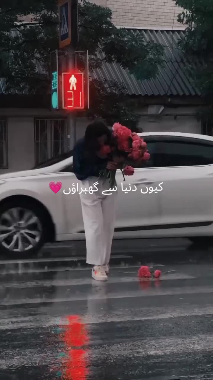 @pashtoon vibes