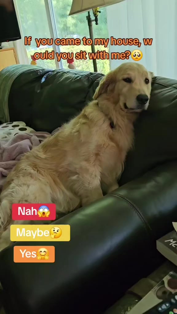 @🐶Griffin