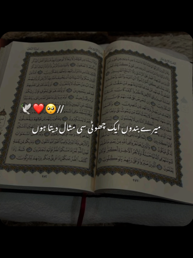@✨Shahbaz-edit✨