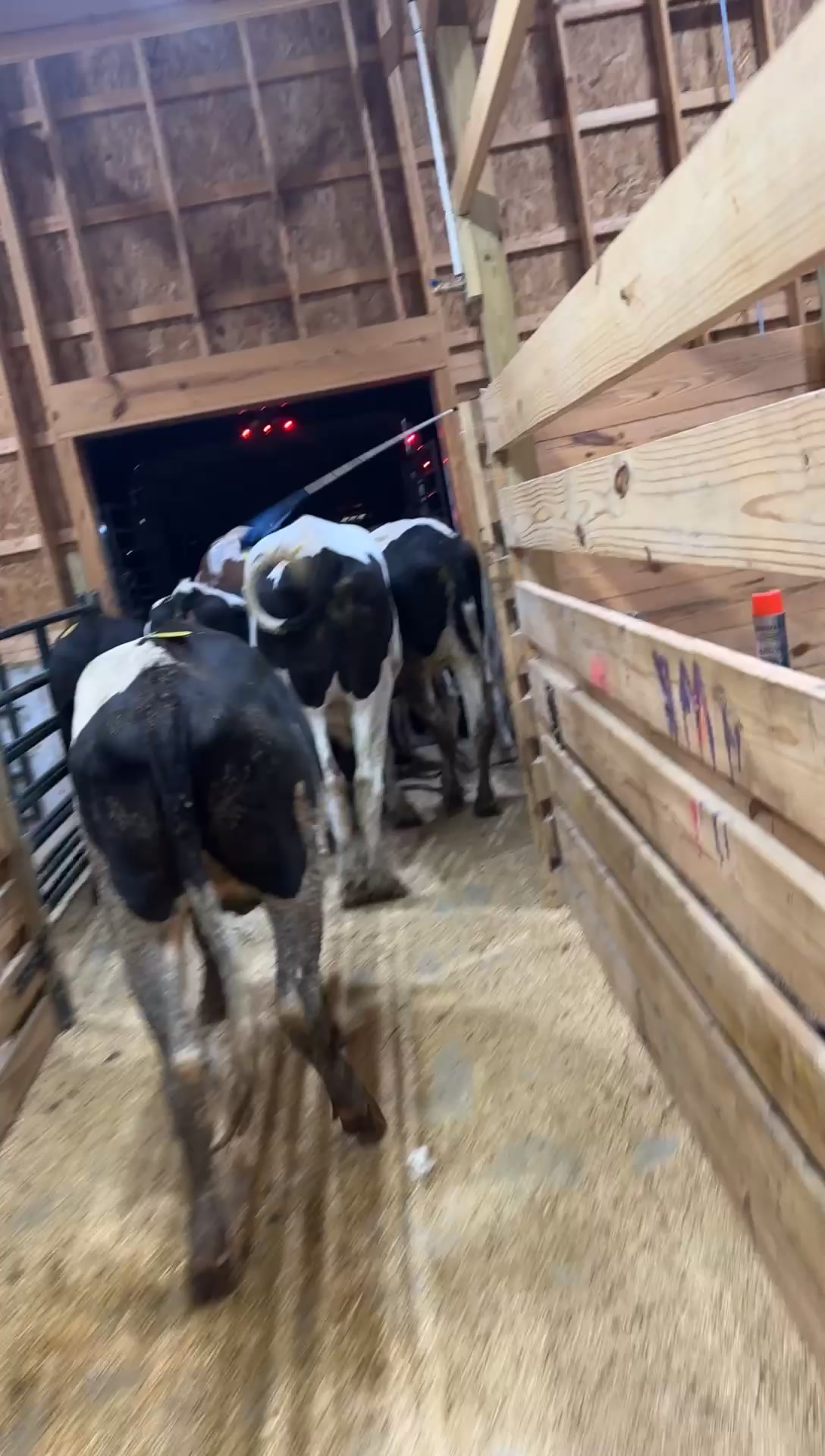 @tripleclivestock