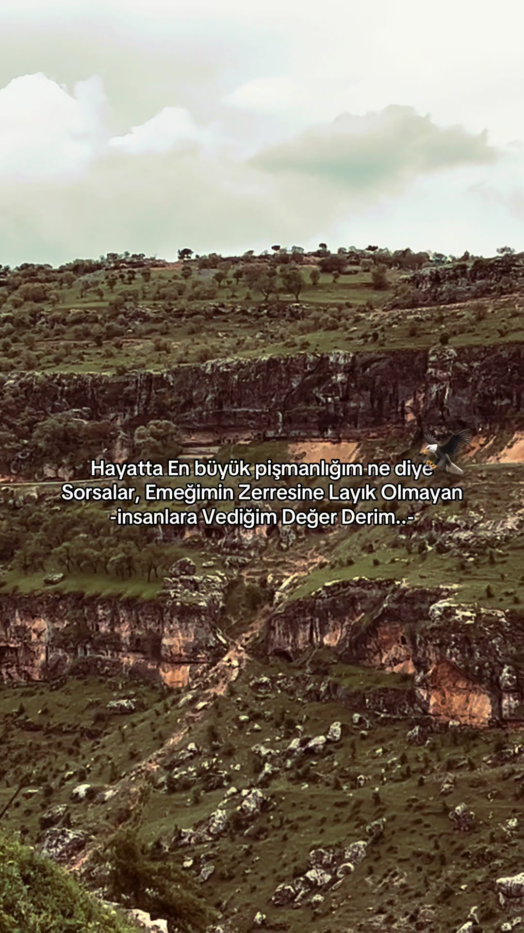 @&ldquo;POLAT&rdquo;