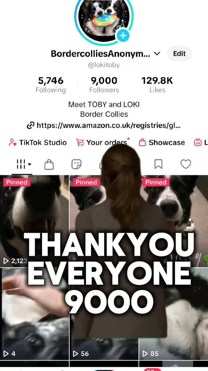 @BordercolliesAnonymous