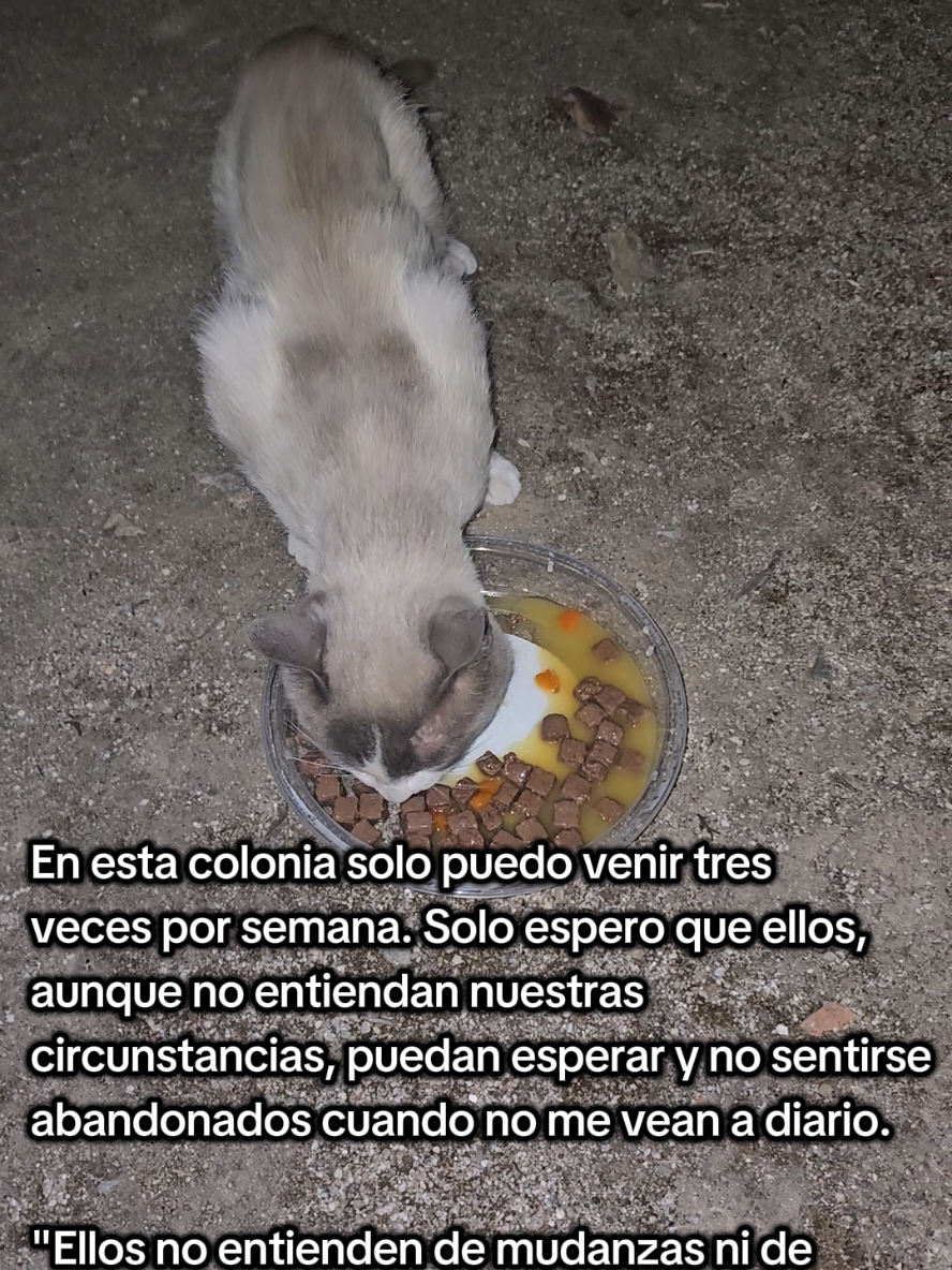 @garritasespaciales