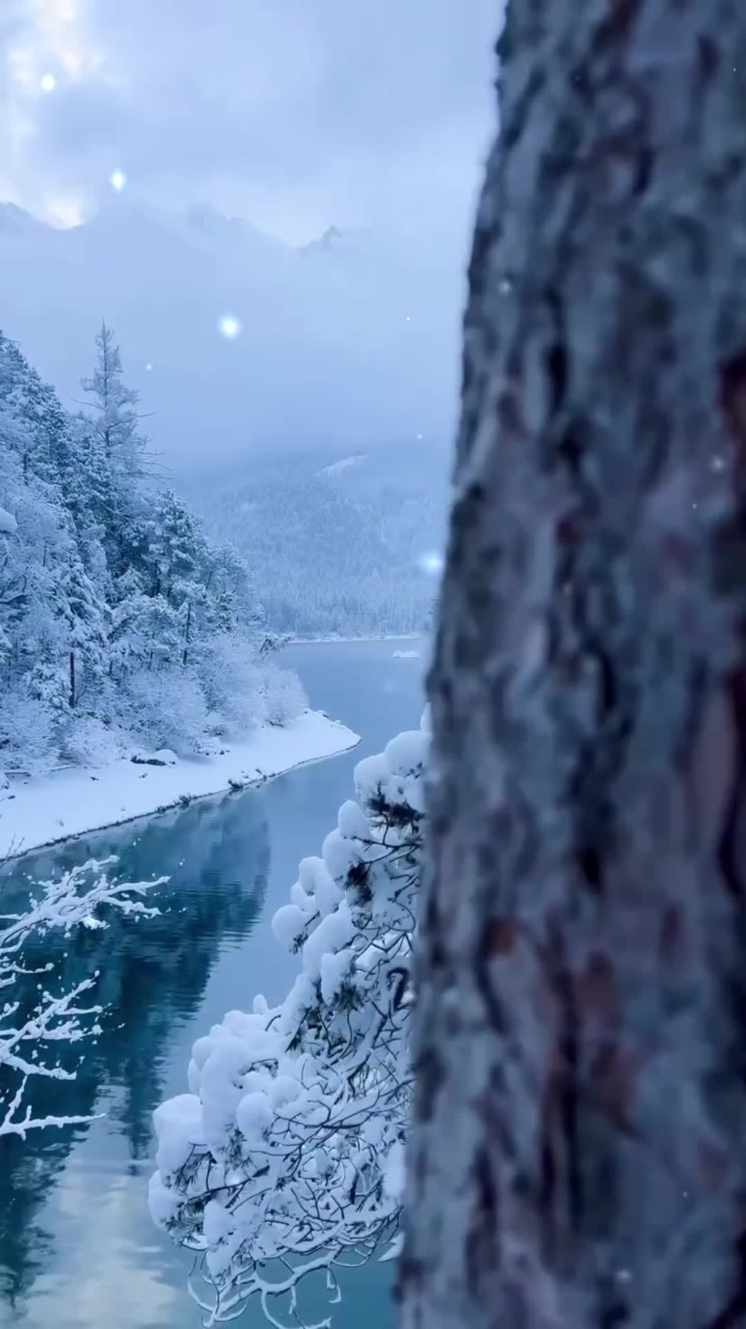 @𝓕𝓪𝓻𝓱𝓪𝓭