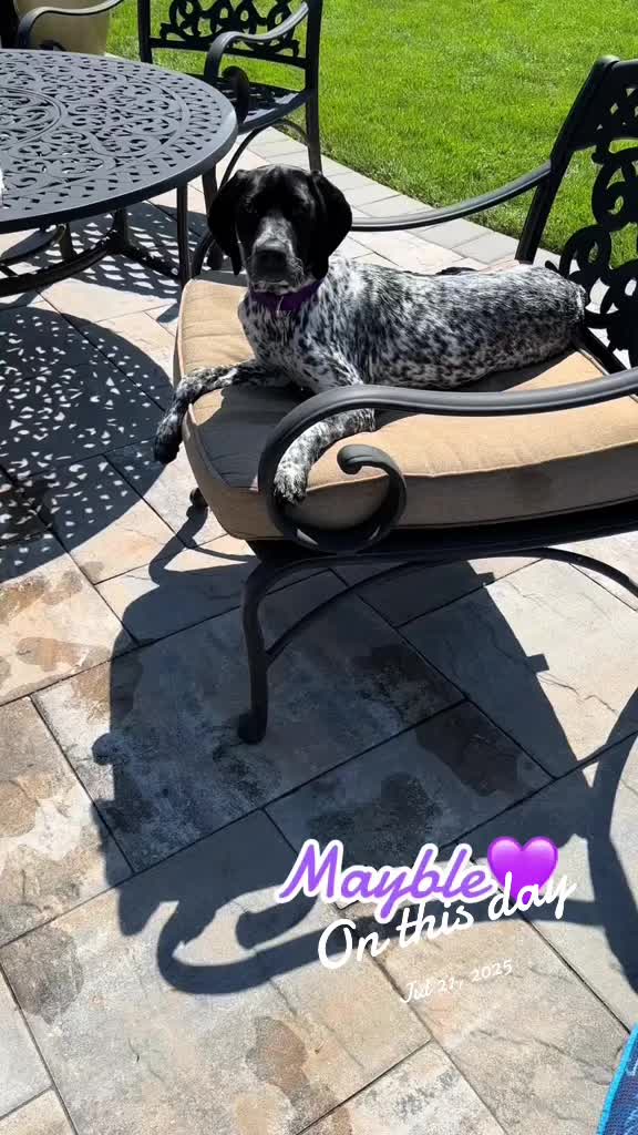 @hellovbirdie