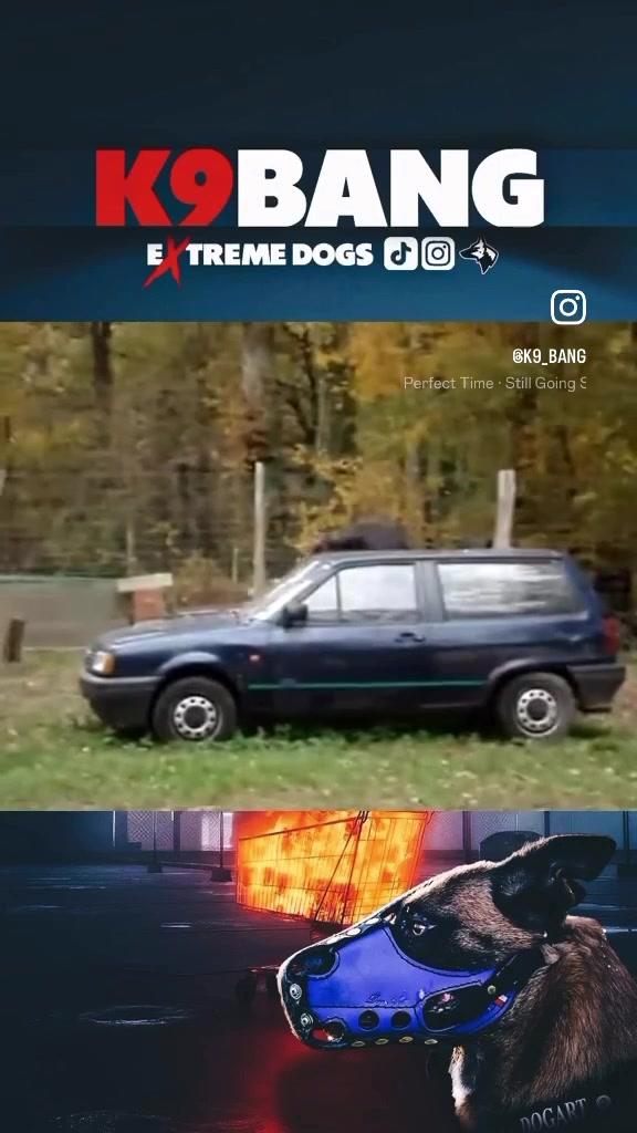@K9 BANG