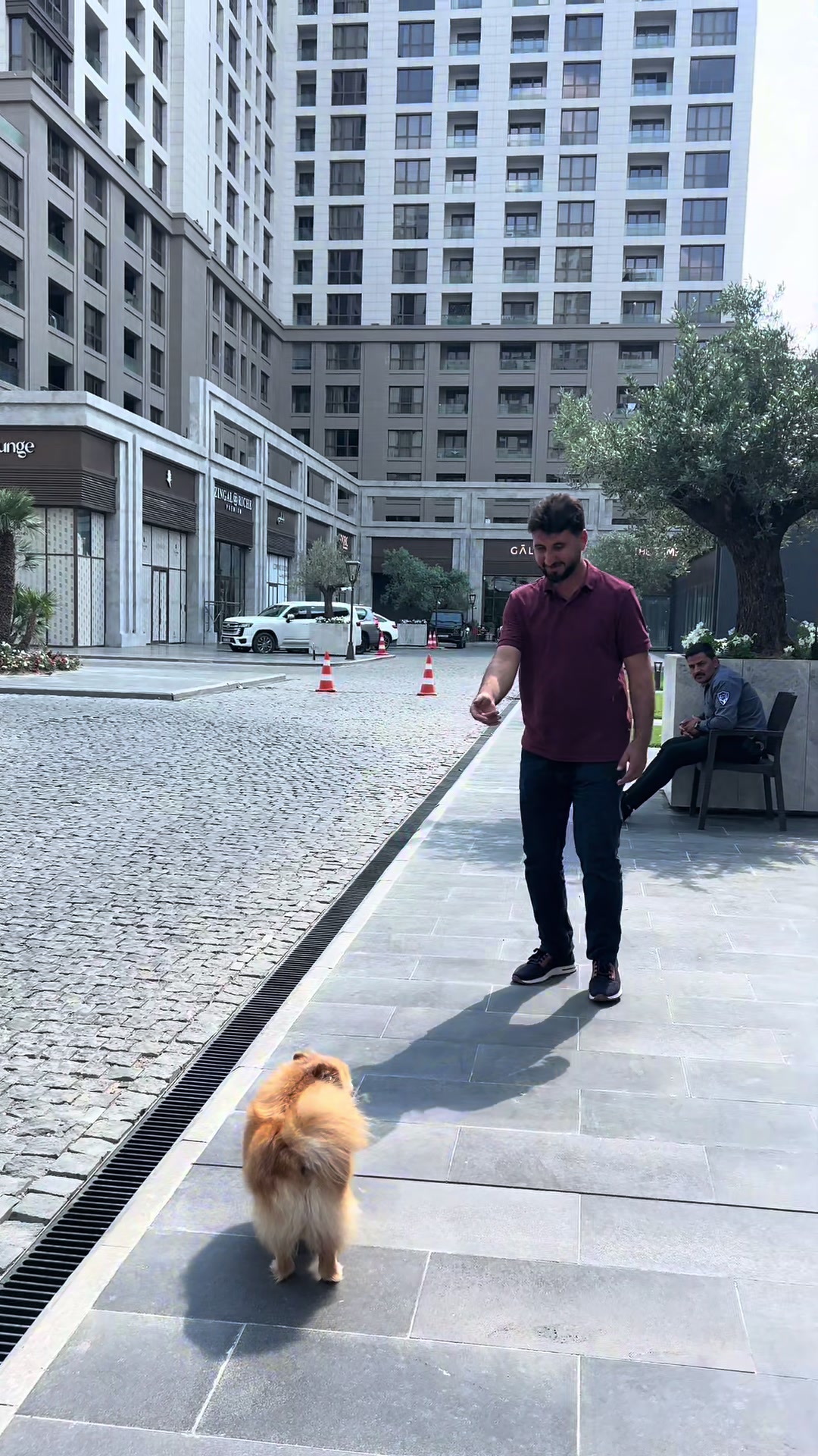@Yazan Zebari ⚖️