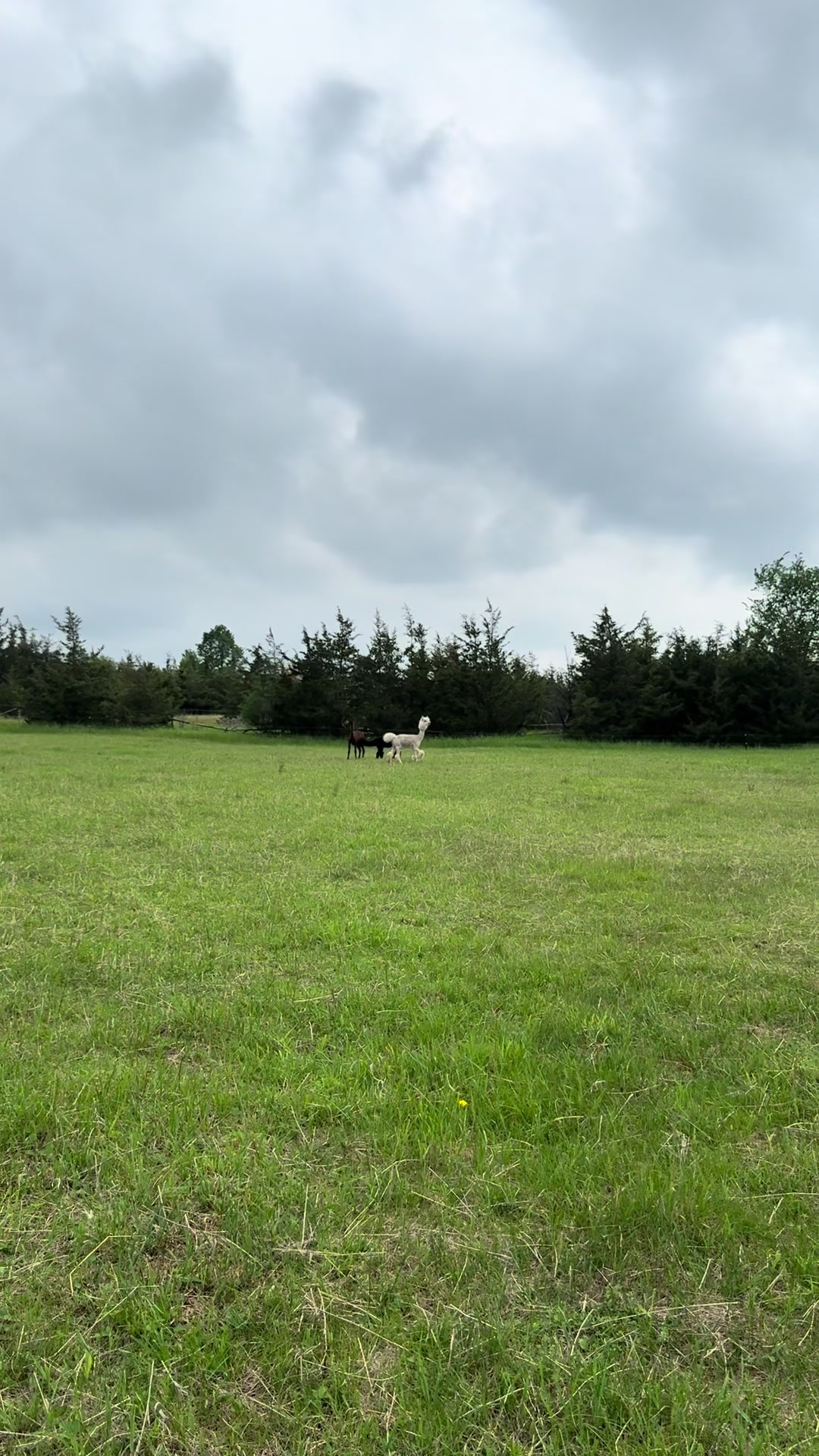 @Useless Farm