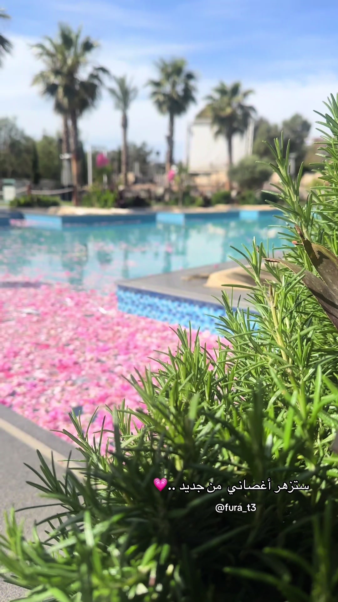 @فُـــرات 🍂