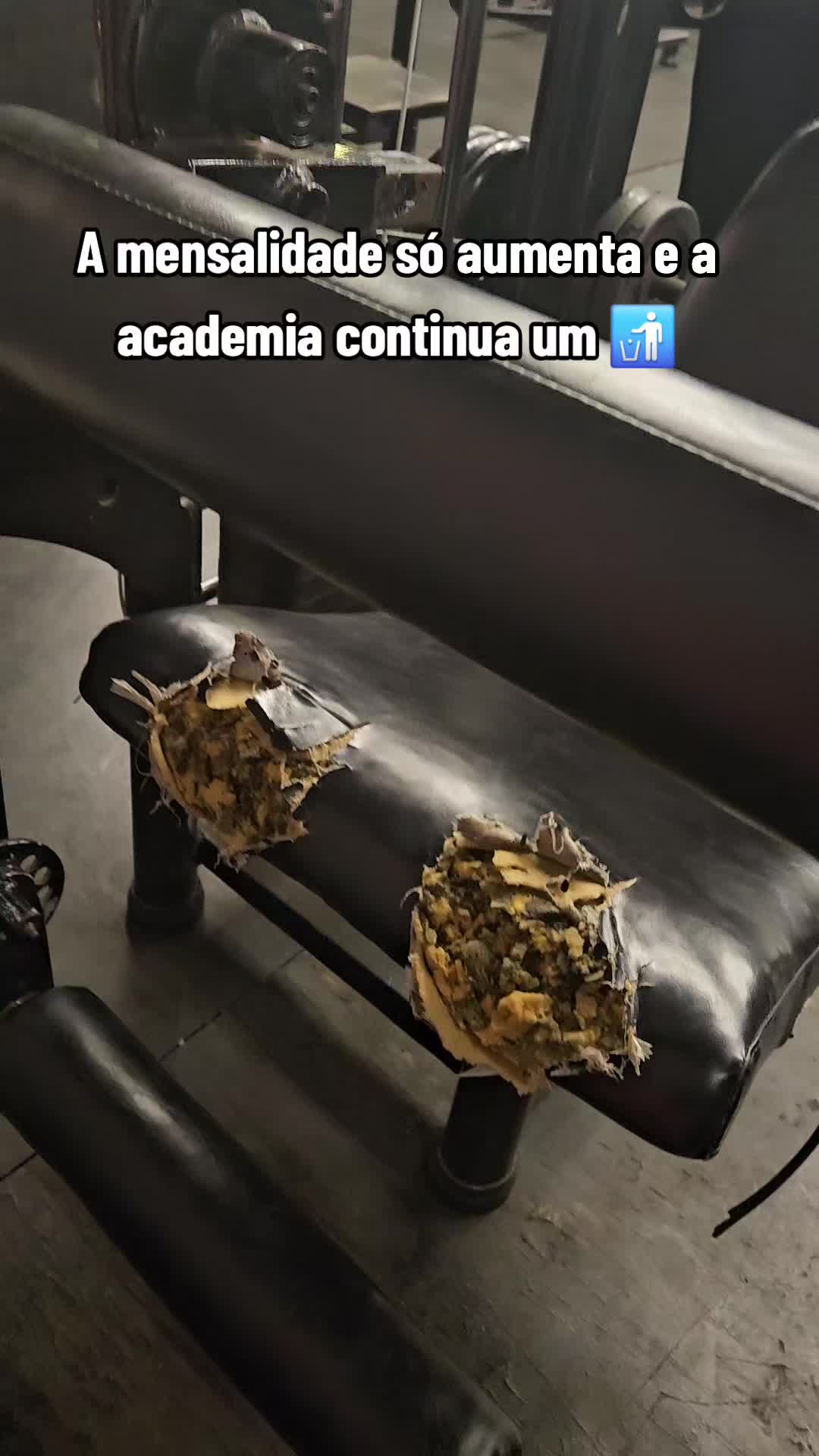 @Alessandra Marques