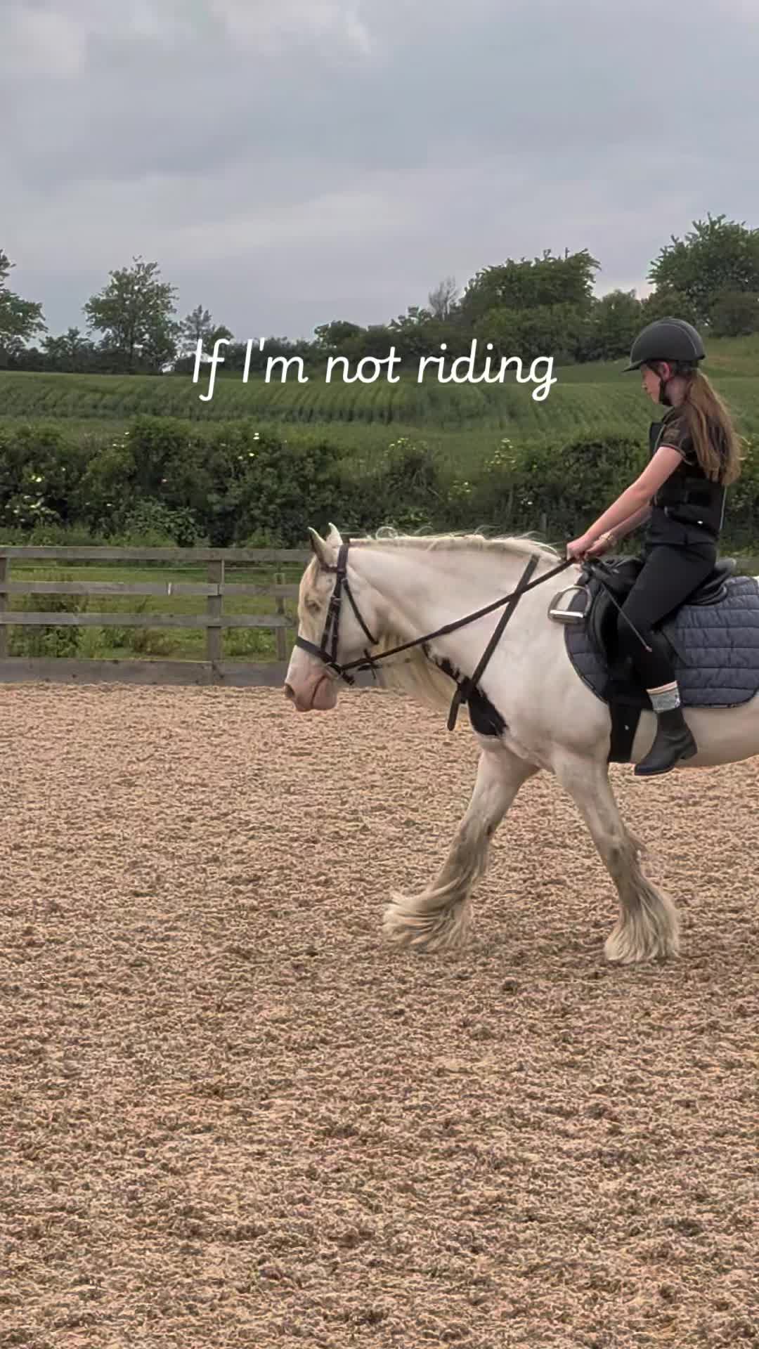 @🐎Riding_with_Holly_🐎