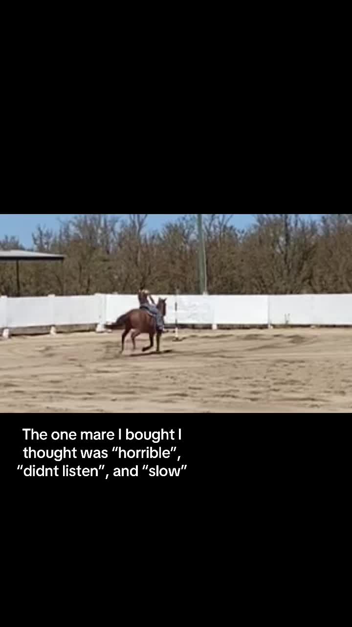 @Oli👹🤺