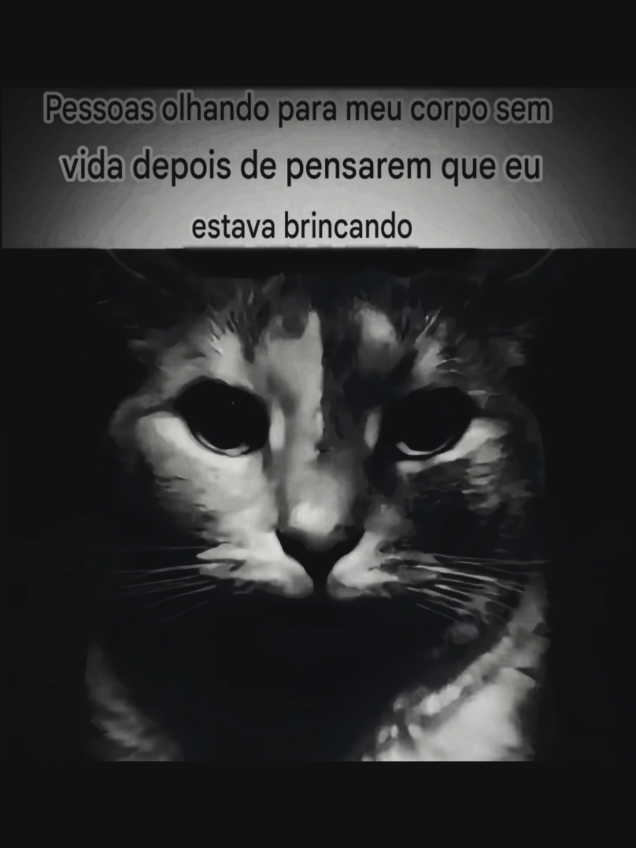 @Zaiko