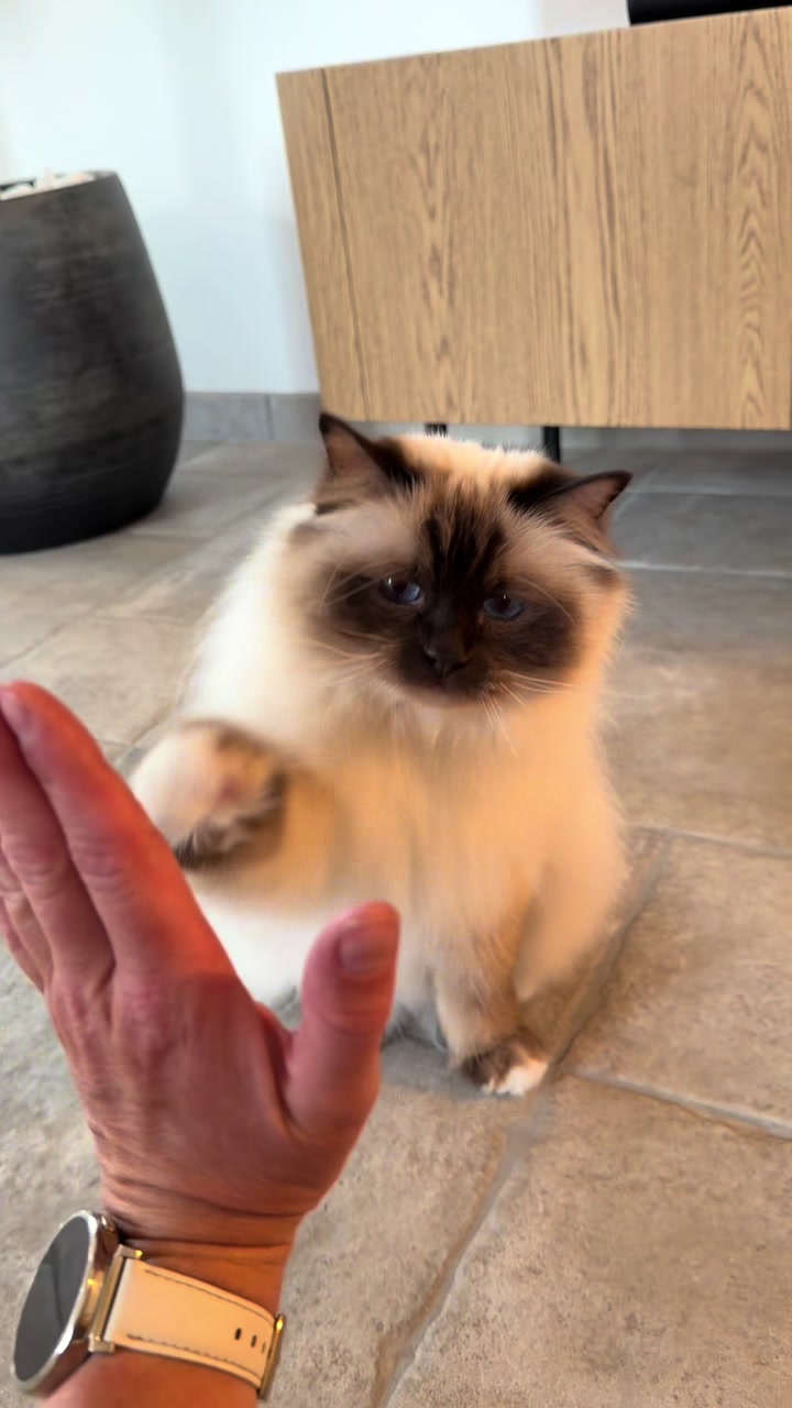 @Henk&Ollie 😺