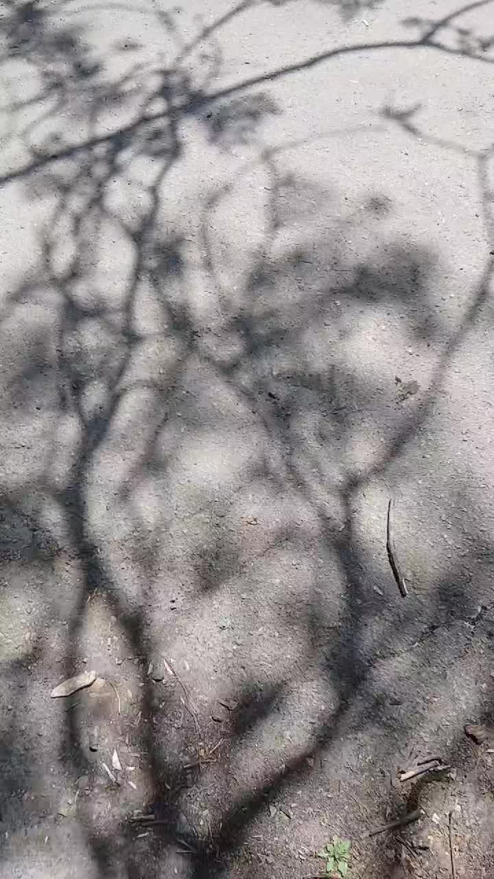@😶&zwj;🌫️Şƙ&ocirc;ğ&acirc;😶&zwj;🌫️