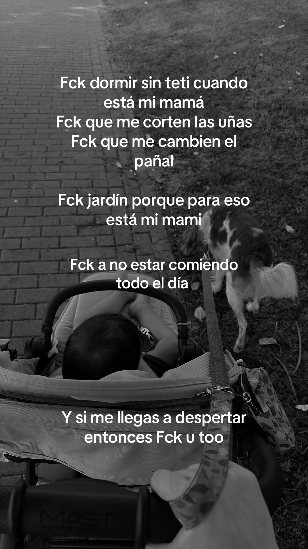 @Daniela 🦎