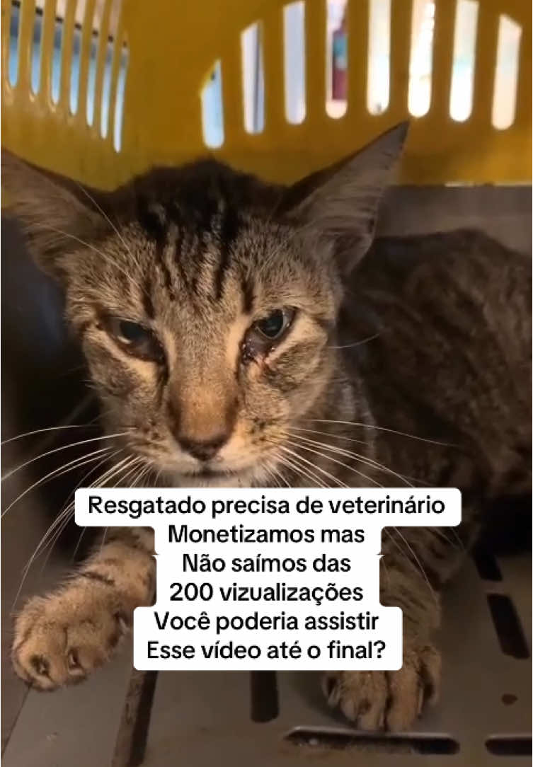 @Ed&ensp;pet