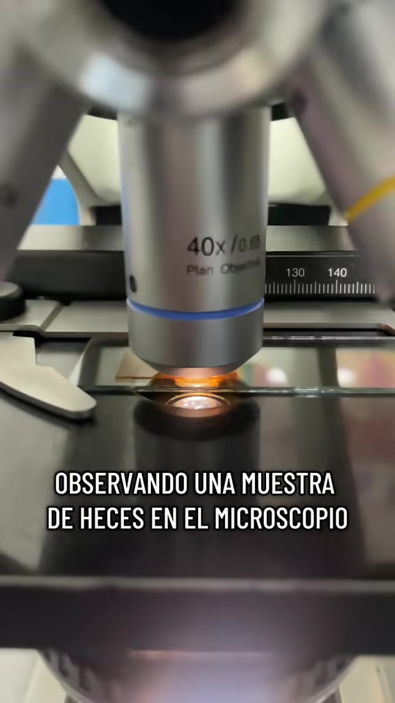 @ALab 🔬💉🩸