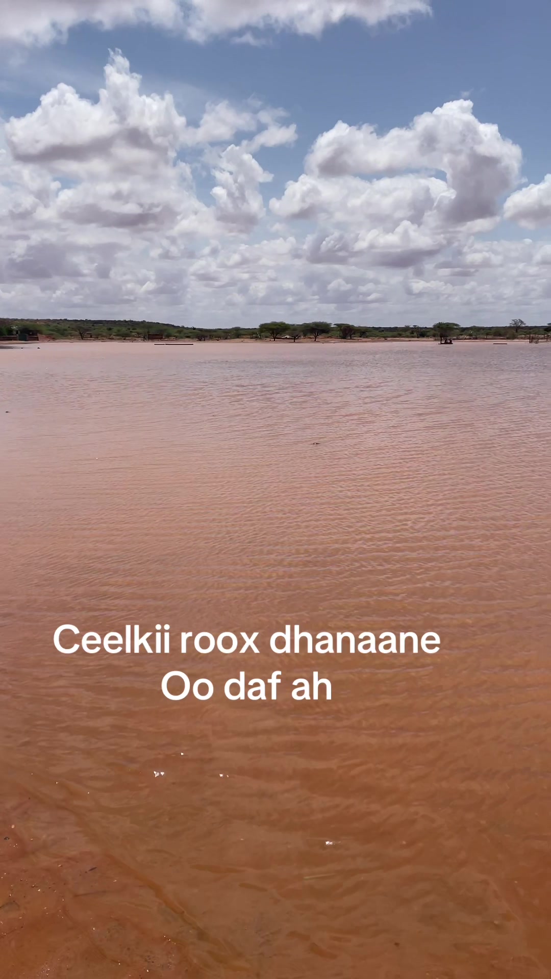 @Abdifitah
