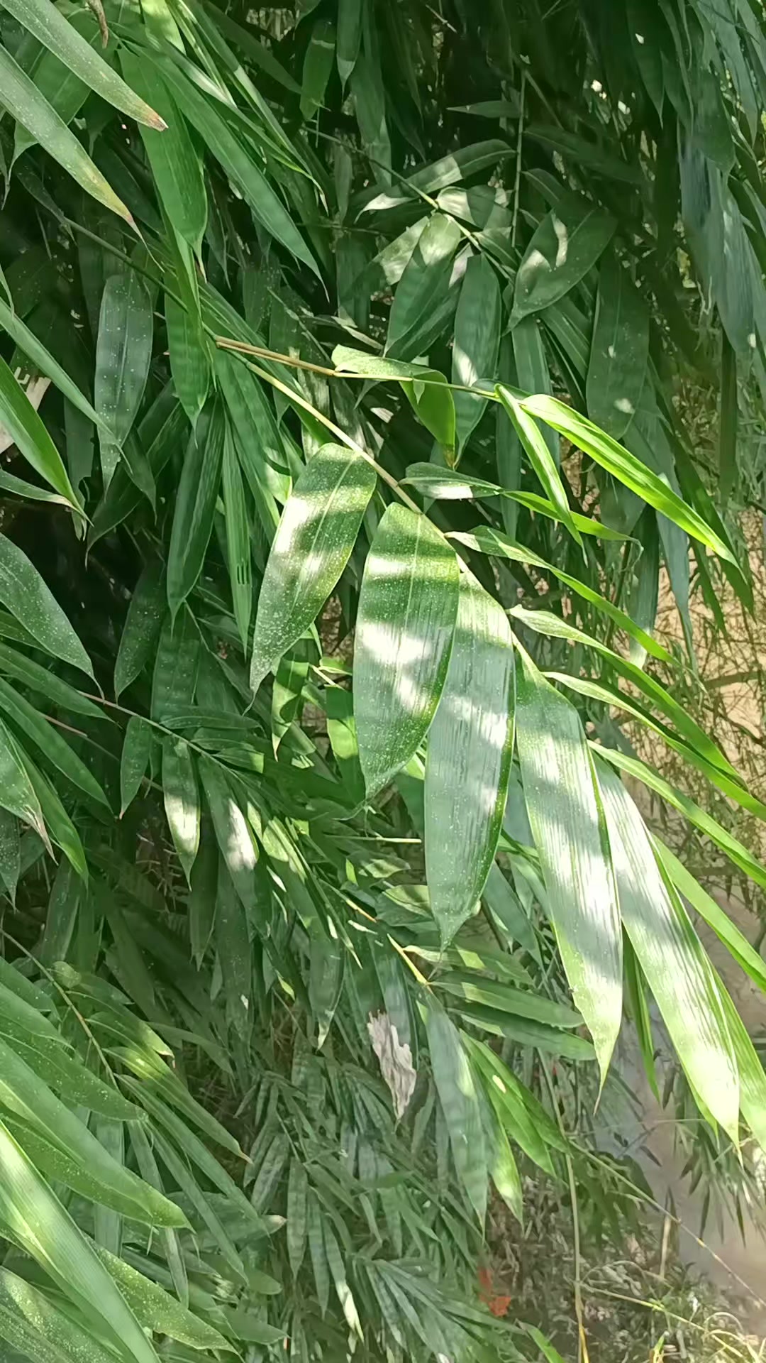 @pkbmlenteranusantara