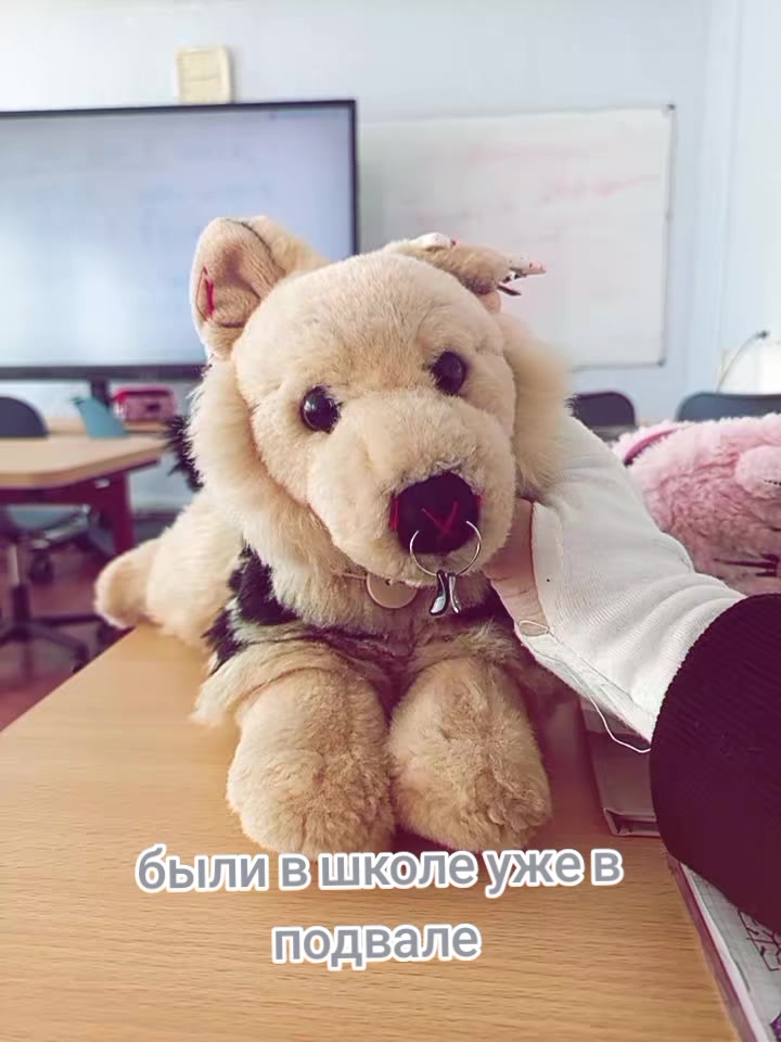 @˚•🌌∘ᗰᗩᖇIK!)ᗴՏՏᗩ/ᑭᗪᗷ∘🔮•˚
