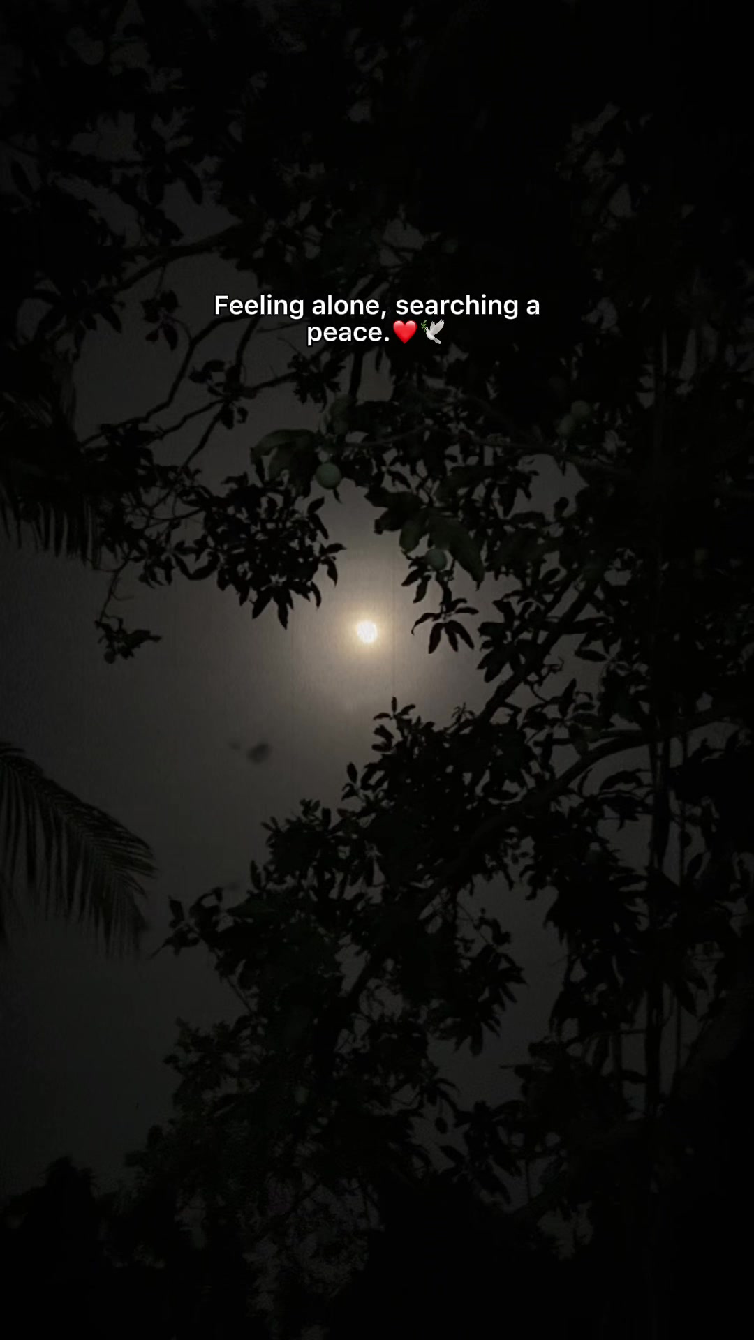 @Nasirul🤍