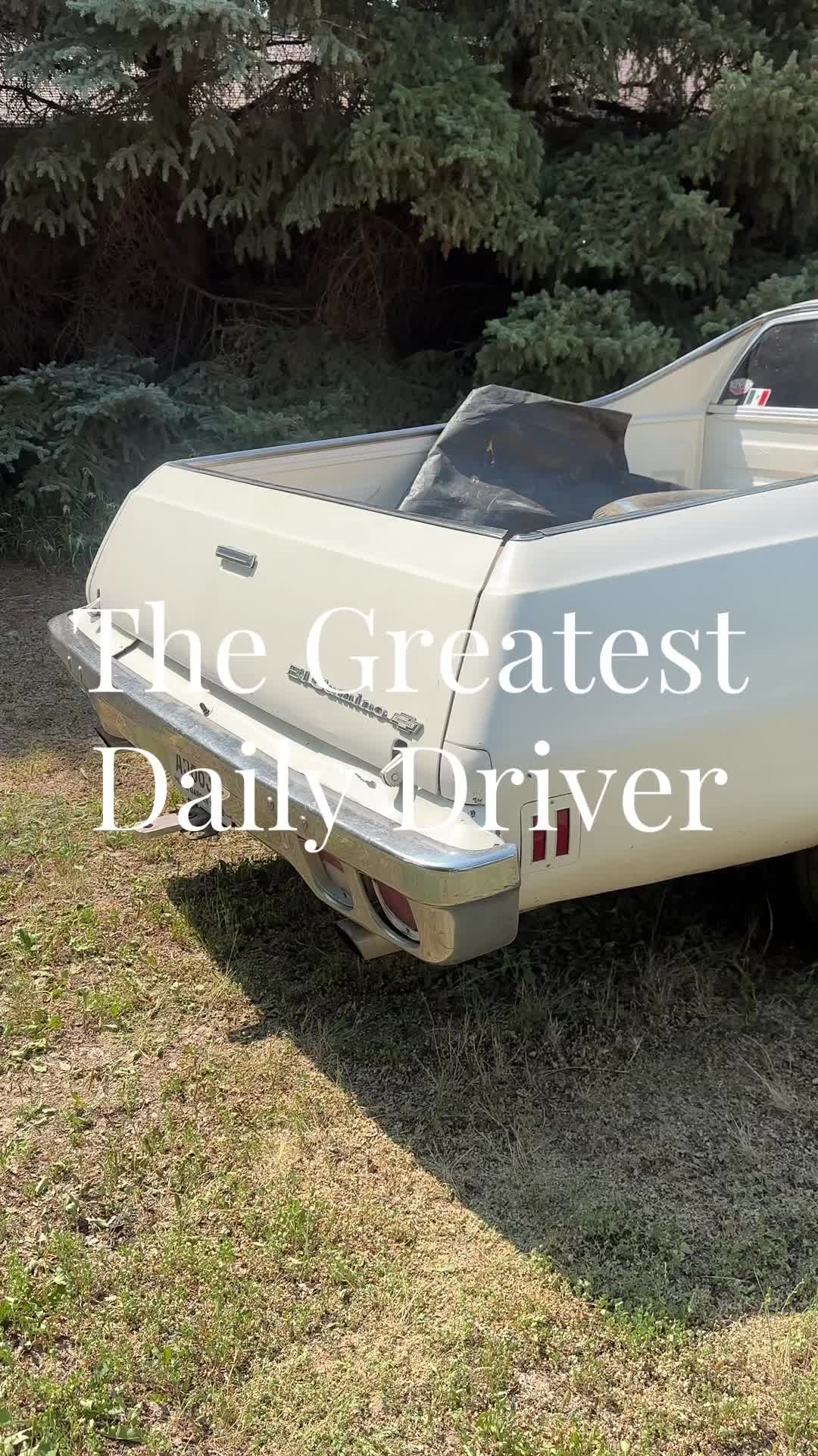 @CLASSIC CAR GIRLIE