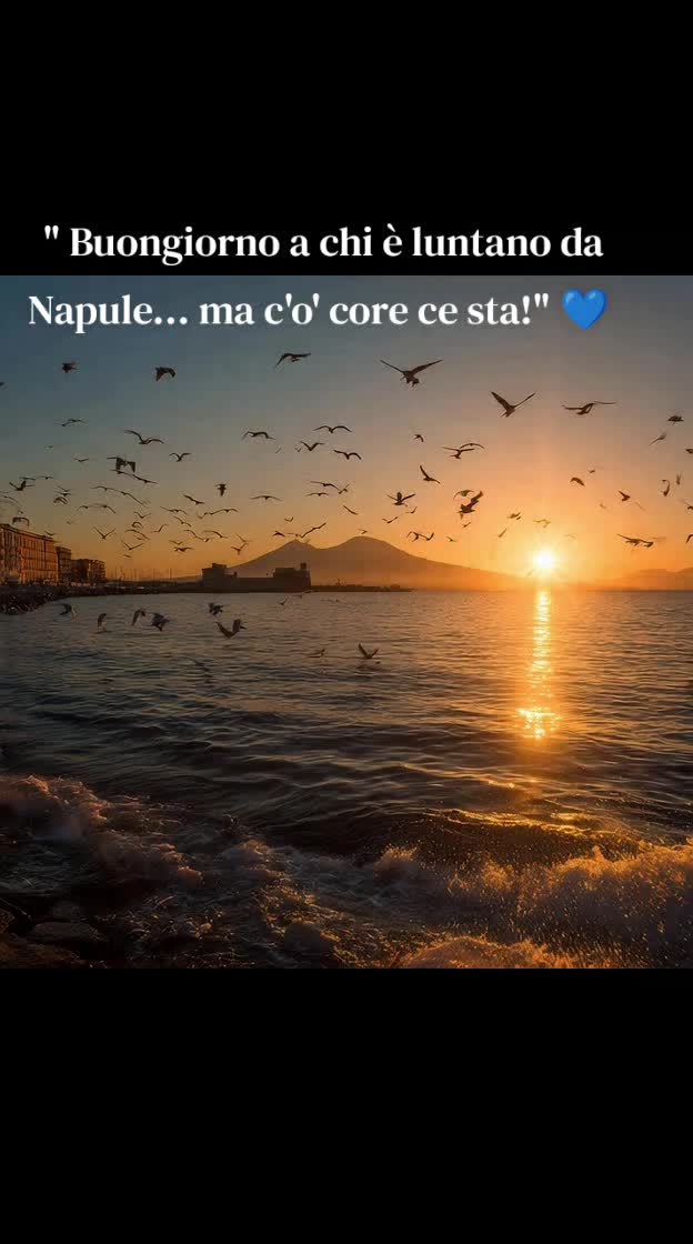 @VIDEO NAPOLi WEB 📻