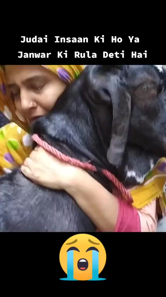 @کشمیری