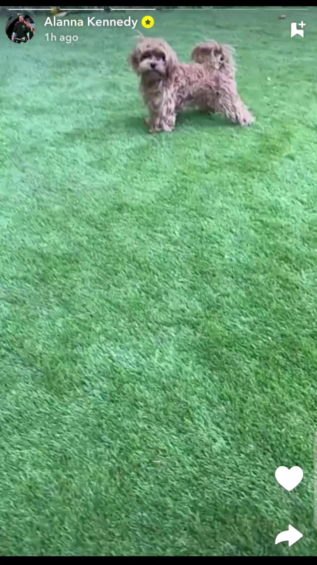 @footballedits