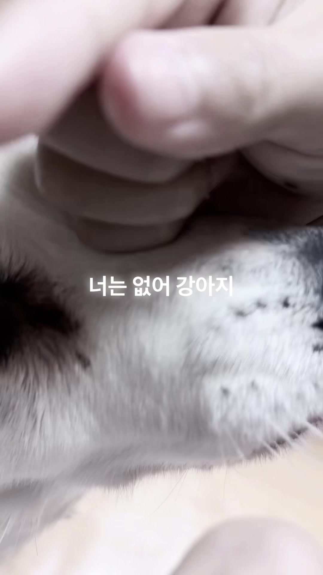 @뭉칠이 사랑녀💞💞💞💞💞💞💞