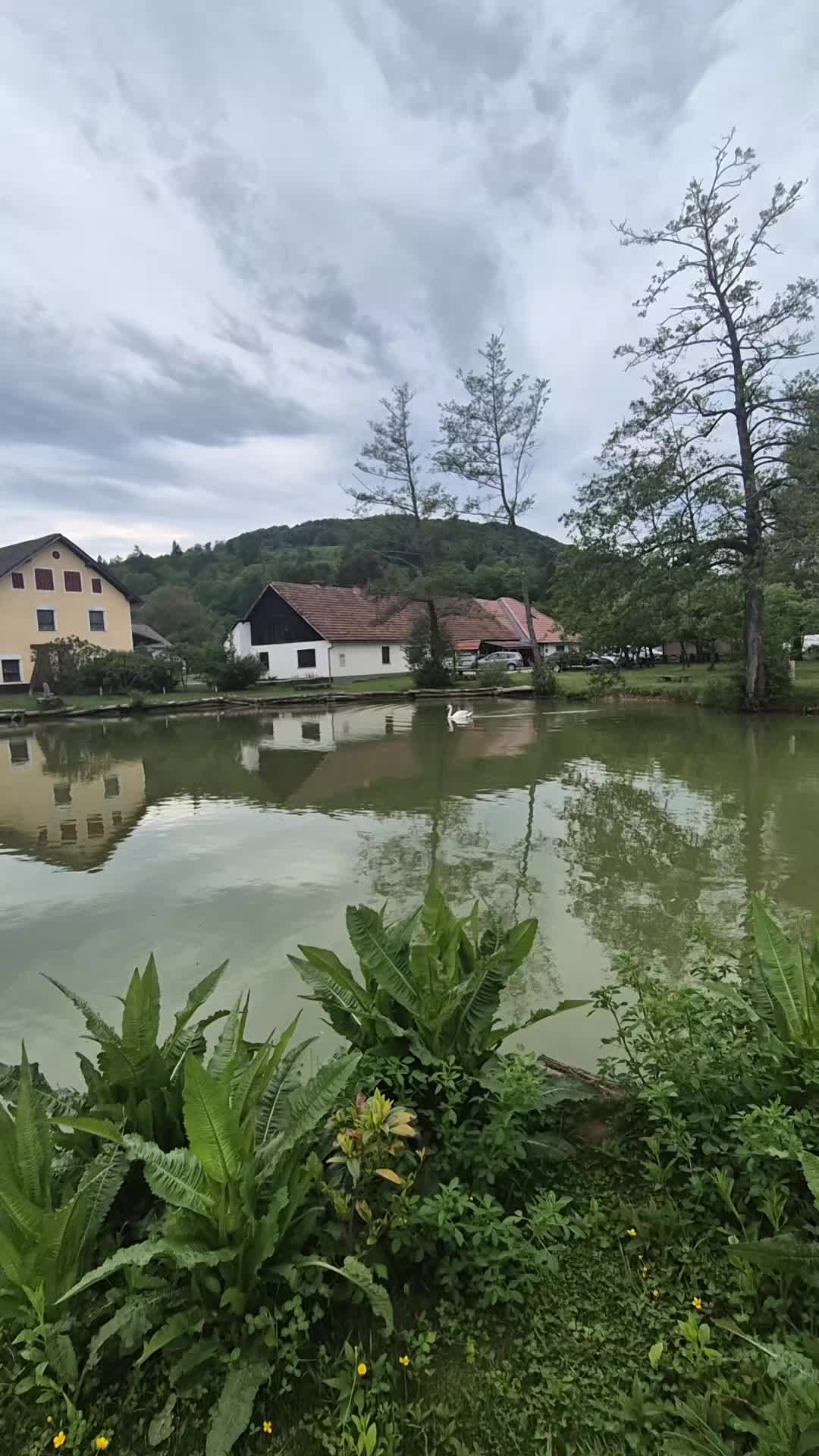@★tetkiš☆
