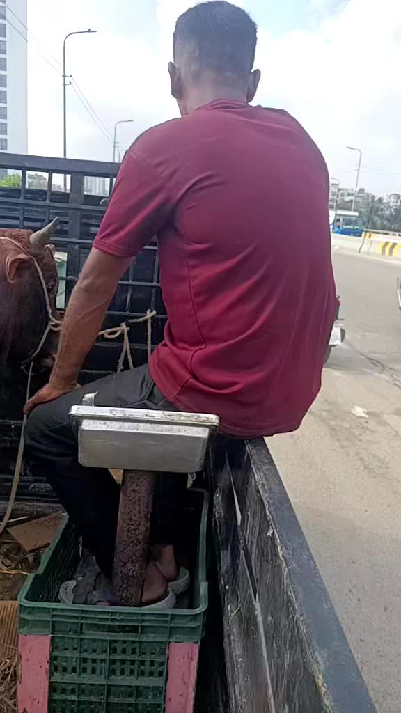 @জান আমার জান