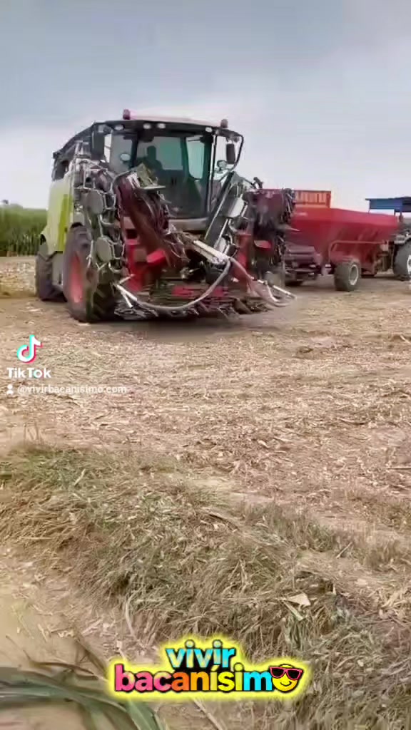 @Bacanisimo😎