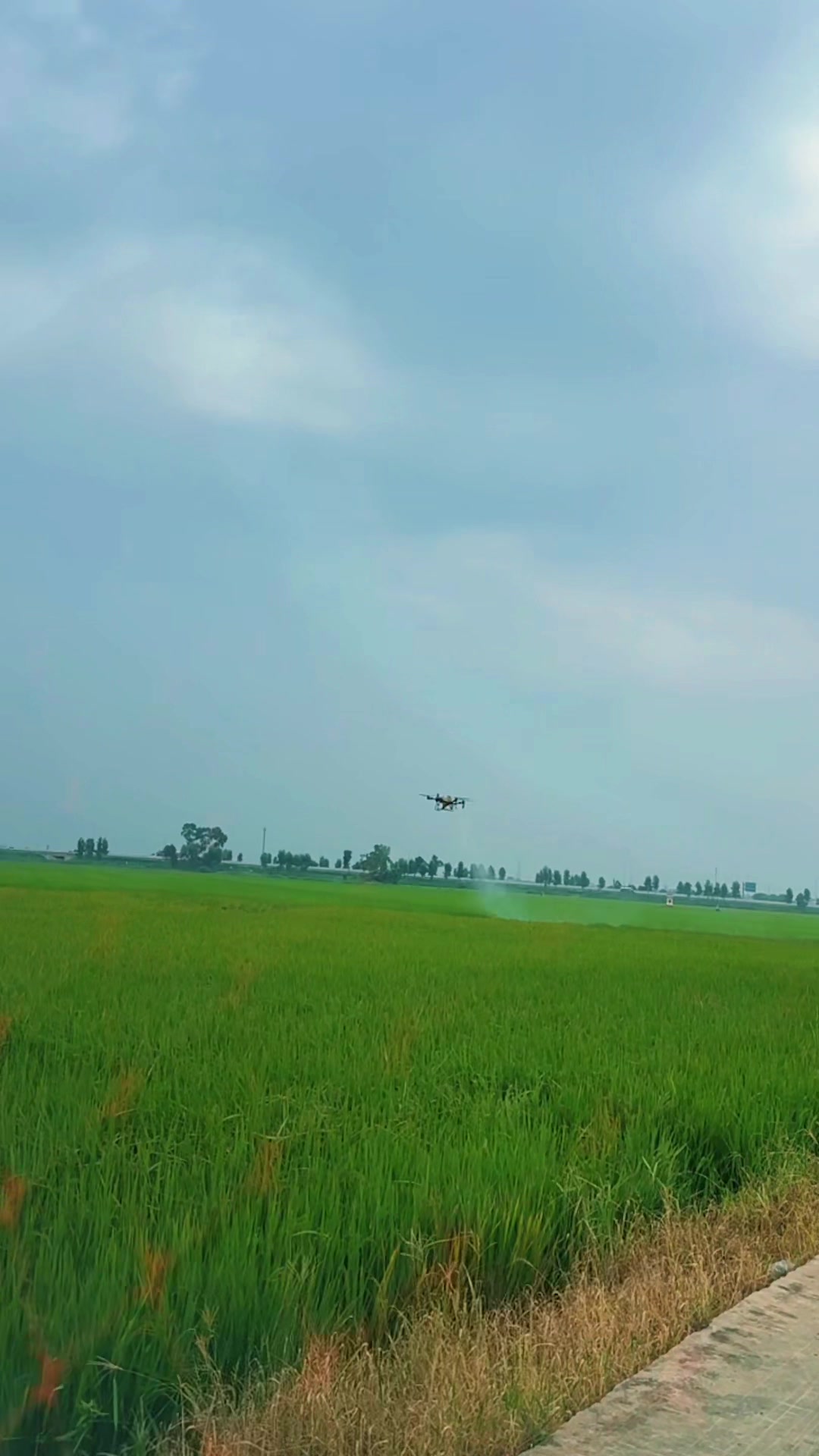 @Ngọc Lan