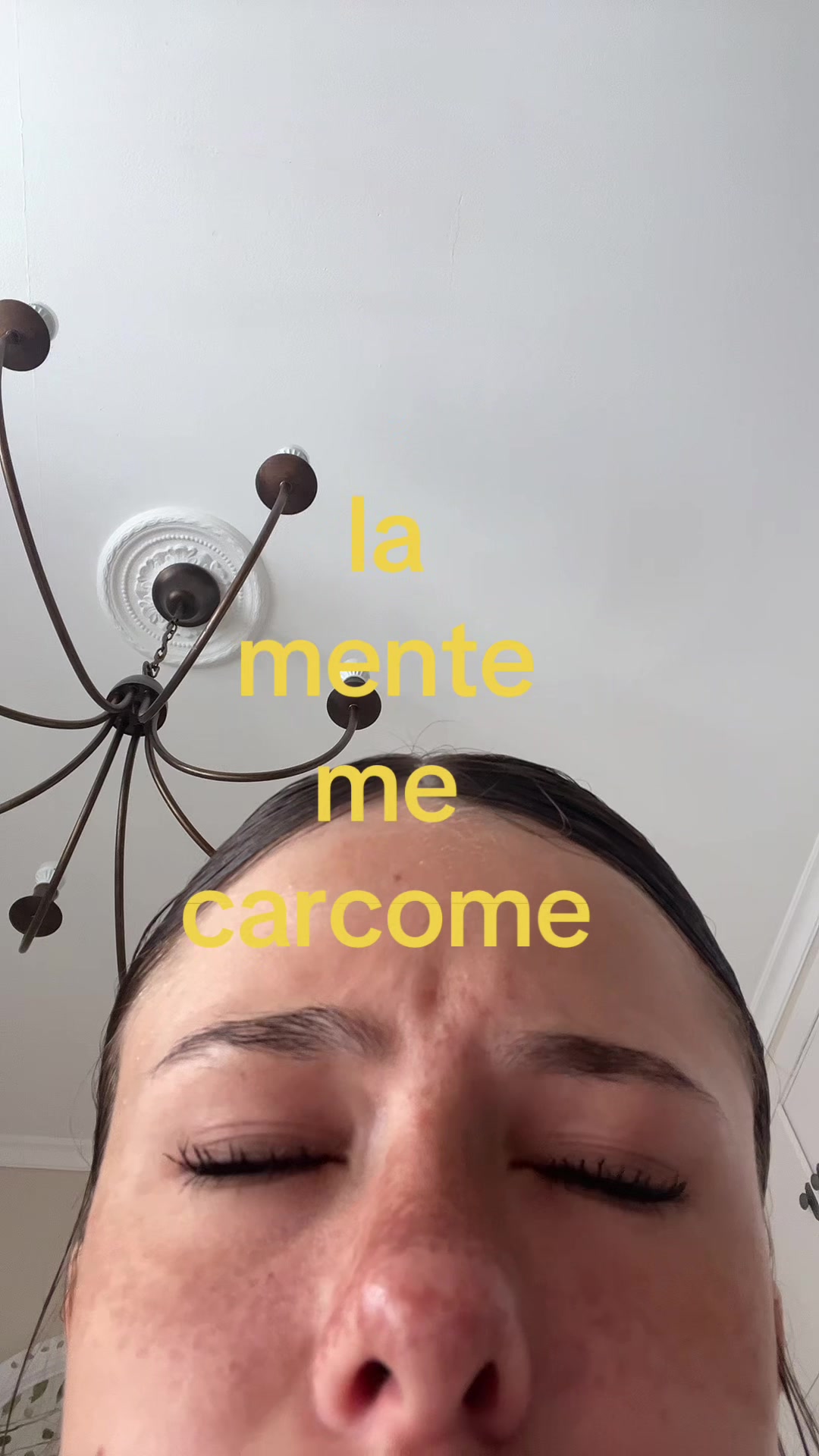 @daniella