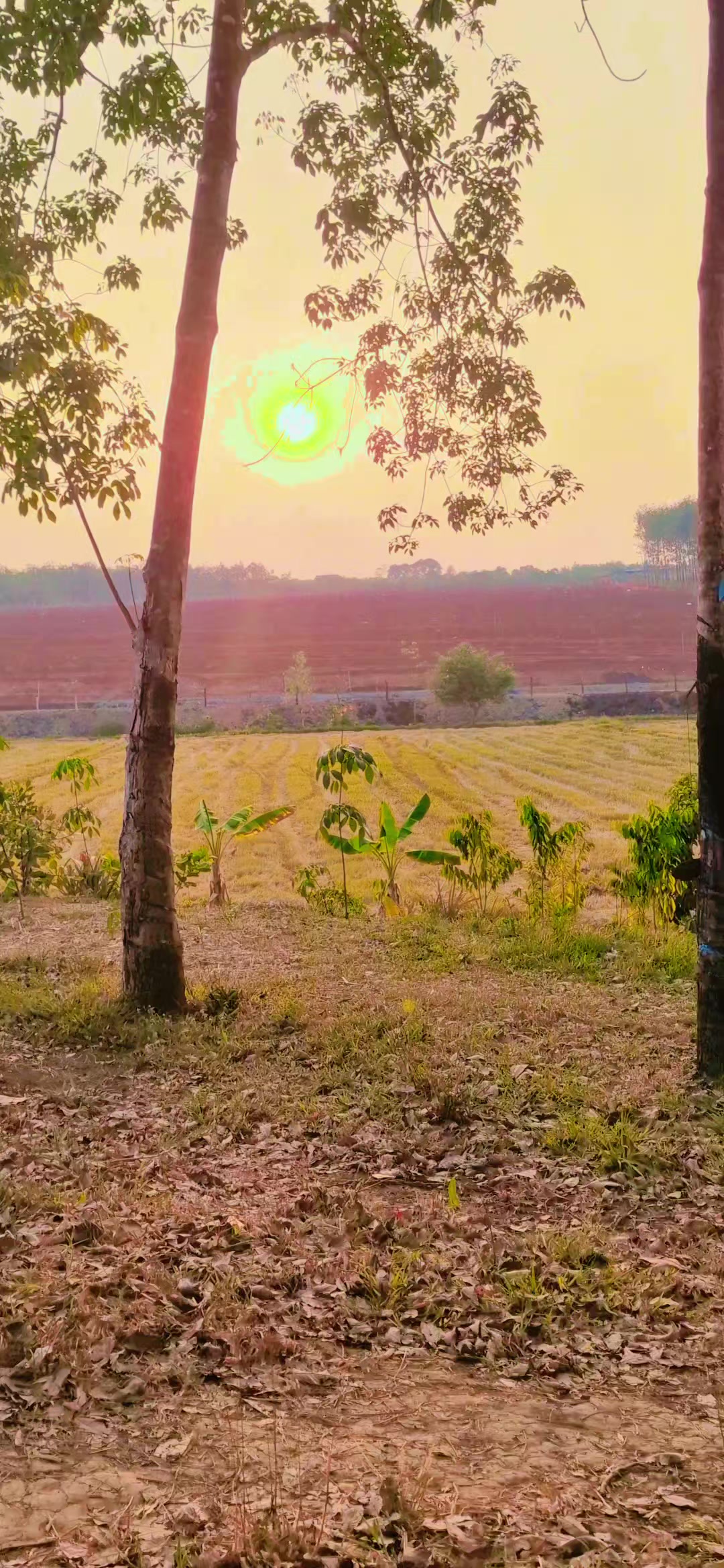 @Mẹ Thư &Yacute; 🥰