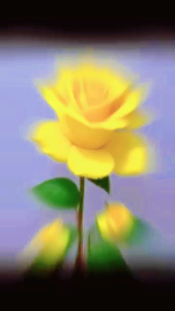 @Dhaneshwor Saday