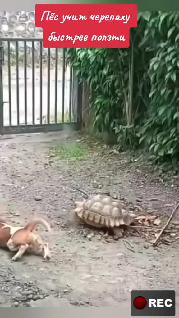 @Лариса