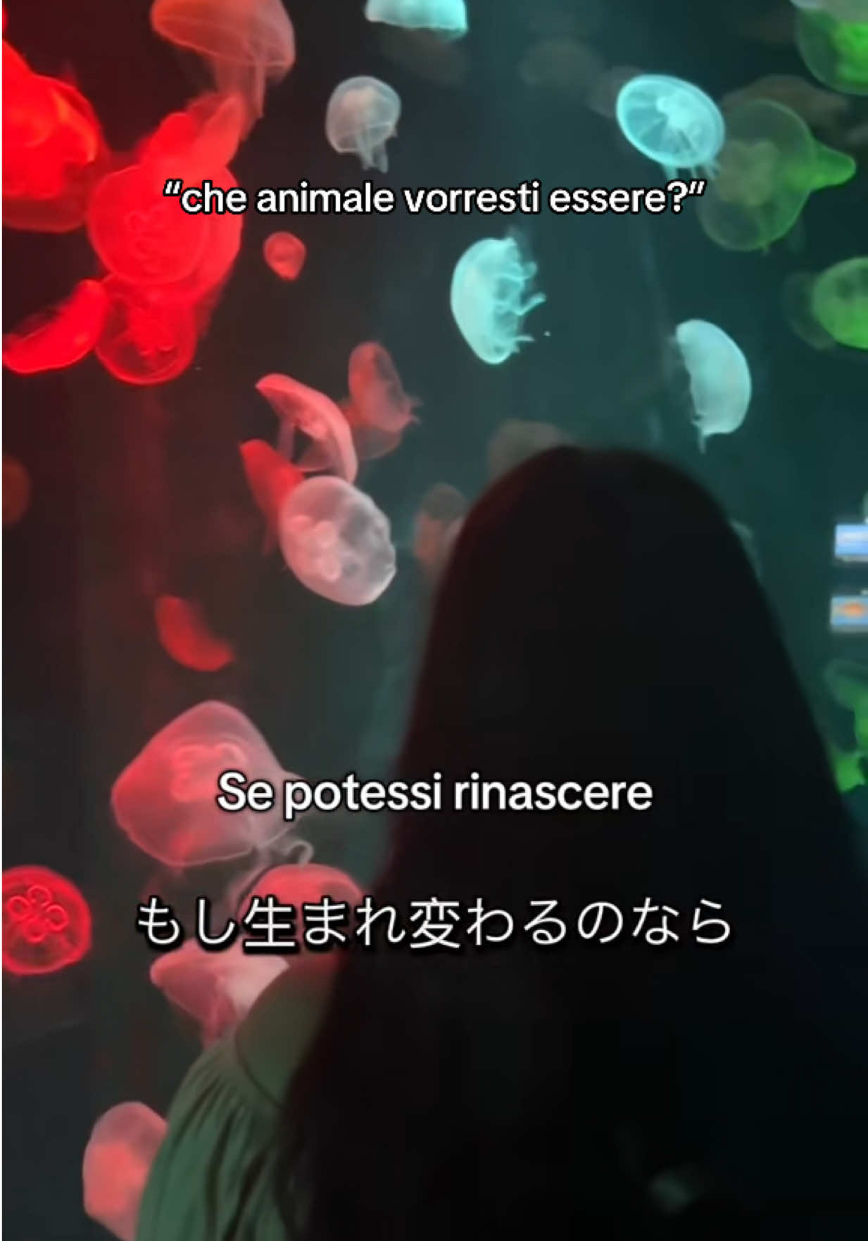 @🌸Ari | NipponTok🇯🇵🇮🇹