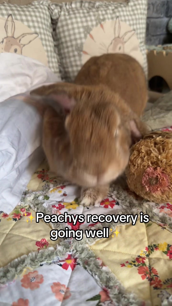 @Moana_Peachy
