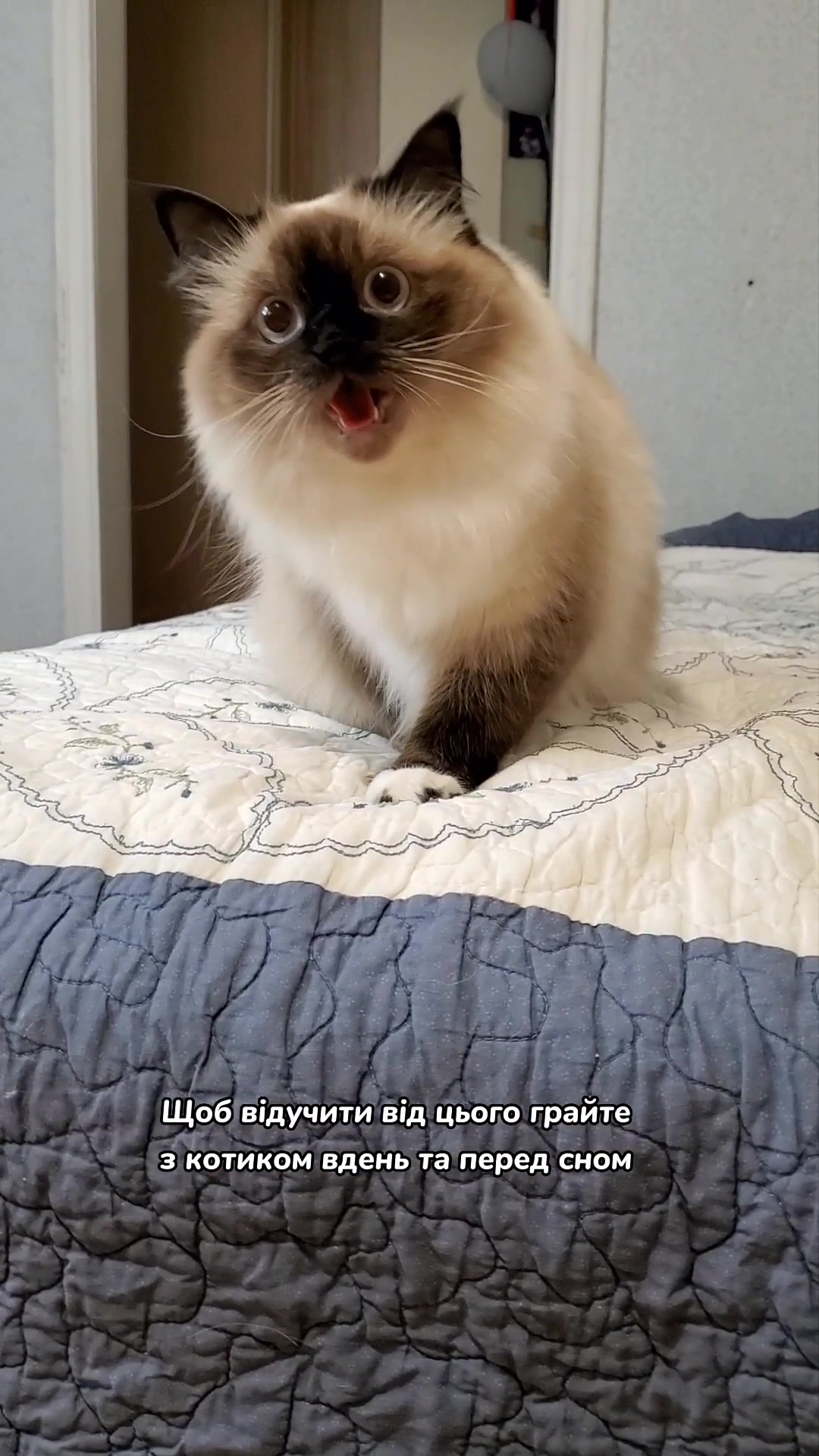 @Місс КІСЯ